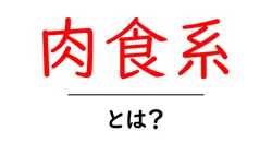 肉食系・とは？初心者でもわかるやさしい解説共起語・同意語・対義語も併せて解説！