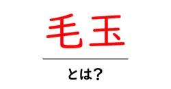 毛玉・とは？毛玉の原因と対処法をわかりやすく解説共起語・同意語・対義語も併せて解説！