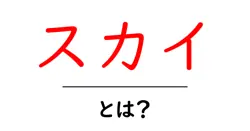 スカイとは？初心者にやさしい基本と使い方を解説共起語・同意語・対義語も併せて解説！
