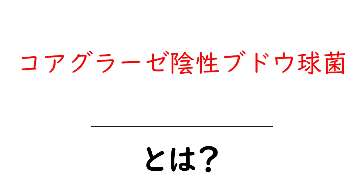 コアグラーゼ陰性ブドウ球菌とは？初心者にもわかる基本と身近な感染リスクを解説共起語・同意語・対義語も併せて解説！