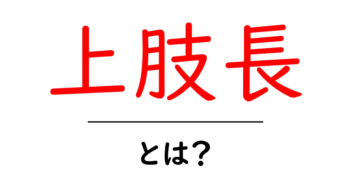 上肢長・とは？初心者が押さえる基本と測定方法をやさしく解説共起語・同意語・対義語も併せて解説！
