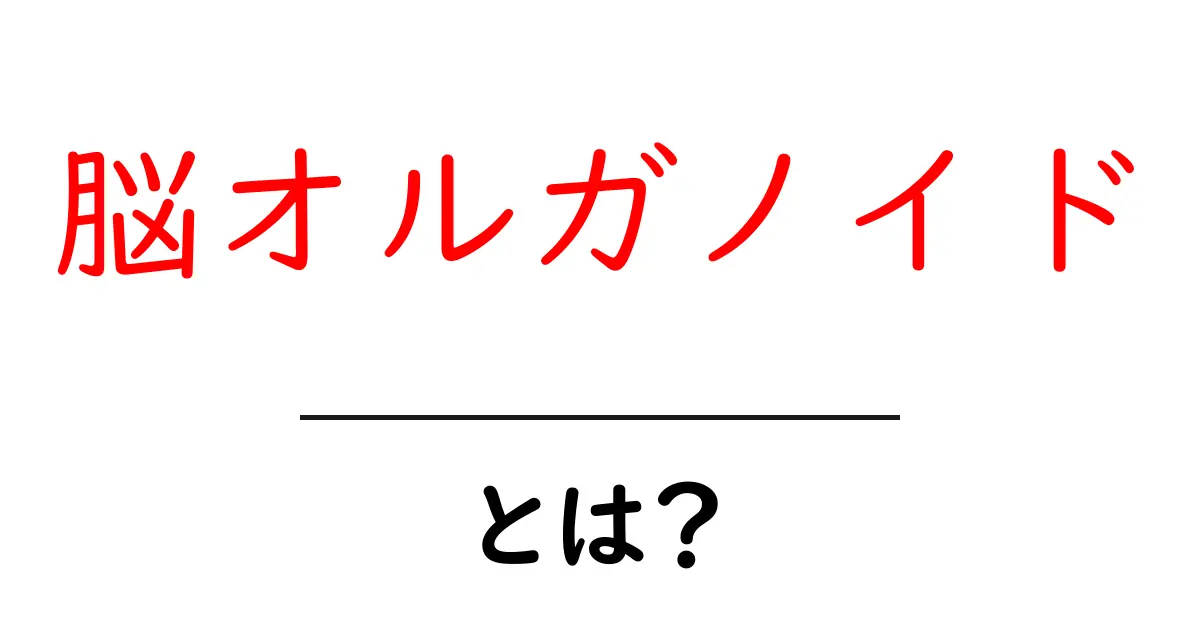 脳オルガノイドとは？最新研究と未来の可能性を解説共起語・同意語・対義語も併せて解説！