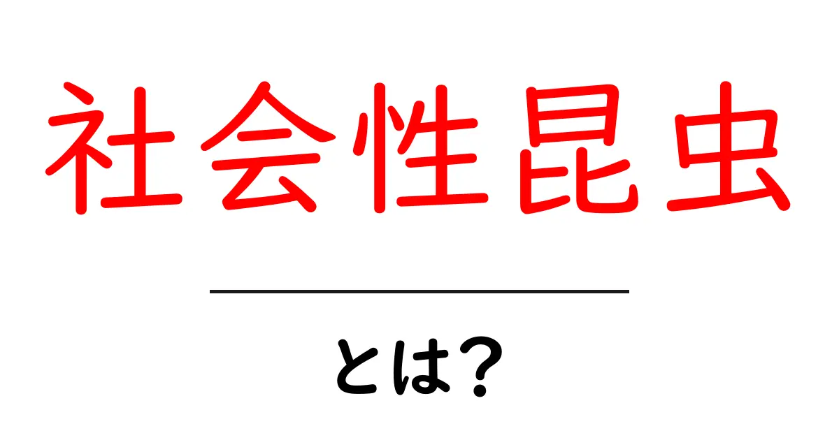 社会性昆虫・とは?を徹底解説:なぜ彼らは社会を作るのか共起語・同意語・対義語も併せて解説!