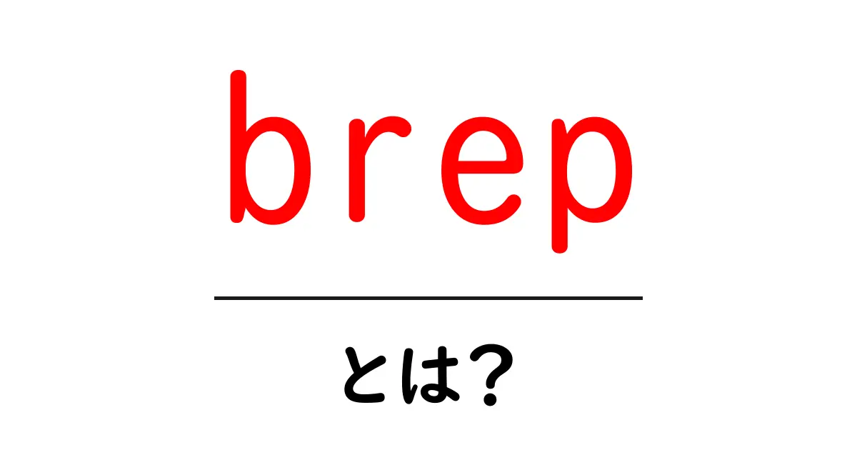 brep・とは？初心者向け解説と使い方ガイド共起語・同意語・対義語も併せて解説！