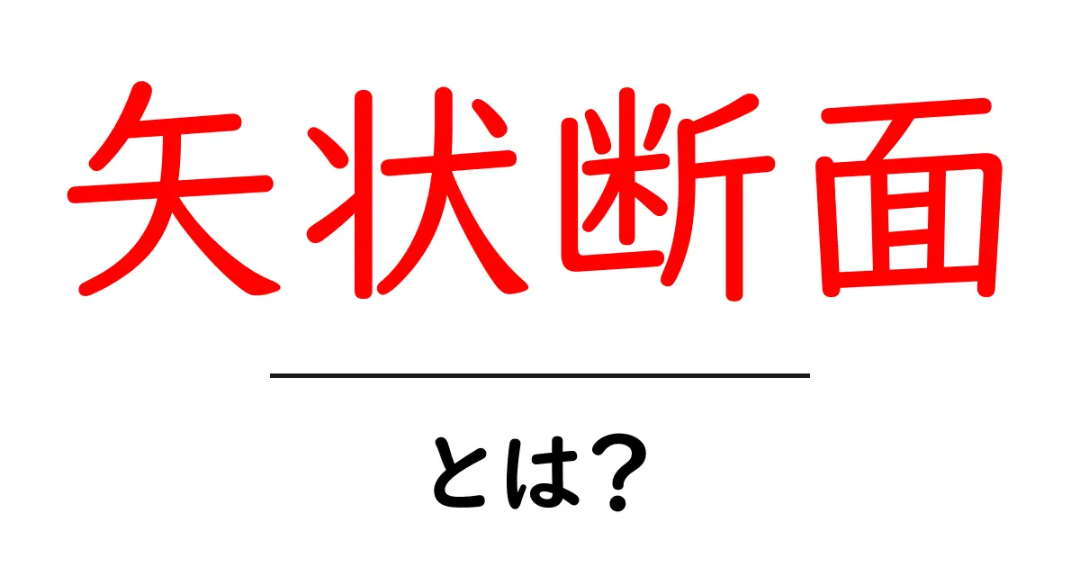 矢状断面・とは？初心者向けにわかりやすく解説する人体の断面入門共起語・同意語・対義語も併せて解説！