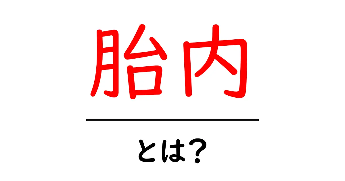 胎内・とは？胎児の発育と私たちの理解を深める入門ガイド共起語・同意語・対義語も併せて解説！