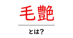毛艶・とは?髪のツヤを科学的に解説する初心者向けガイド共起語・同意語・対義語も併せて解説!