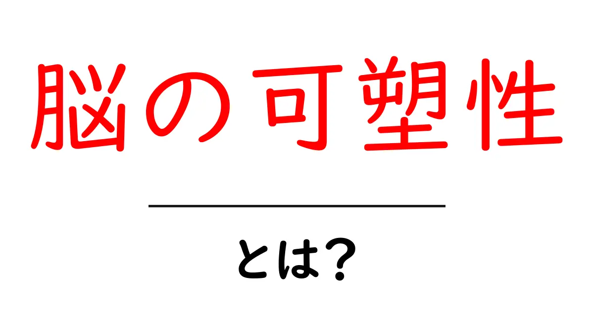 脳の可塑性とは?学習・成長を促す秘密と科学の最新発見共起語・同意語・対義語も併せて解説!