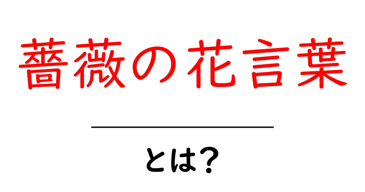 薔薇の花言葉・とは？初心者でも分かる基本ガイド共起語・同意語・対義語も併せて解説！