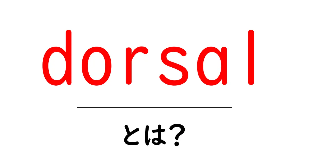 dorsalとは？初心者が押さえる基本と使い方をわかりやすく解説共起語・同意語・対義語も併せて解説！