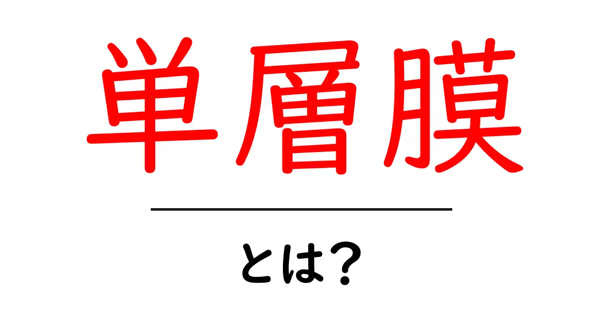 単層膜とは？初心者向けのやさしい解説と身近な例共起語・同意語・対義語も併せて解説！