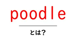 poodleとは?初心者のための基礎知識と育て方ガイド共起語・同意語・対義語も併せて解説!