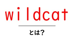 wildcatとは?初心者にもわかる野生動物の基礎ガイド共起語・同意語・対義語も併せて解説!