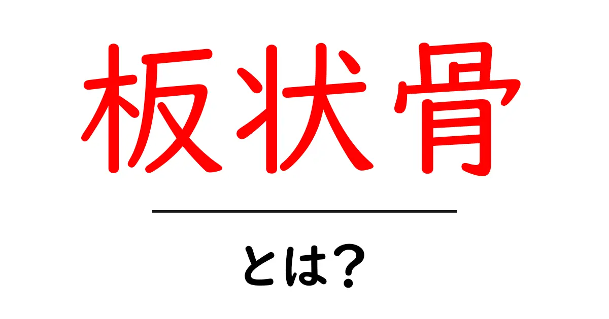 板状骨・とは？初心者にもやさしい解説と身近な例共起語・同意語・対義語も併せて解説！