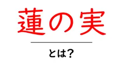 蓮の実・とは?初心者が知っておくべき基礎知識と活用法共起語・同意語・対義語も併せて解説!