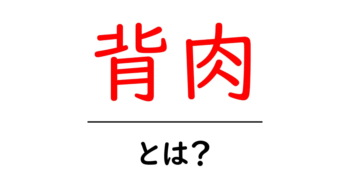 背肉とは？初心者向けガイド：背肉の基本と選び方・おいしい調理法共起語・同意語・対義語も併せて解説！