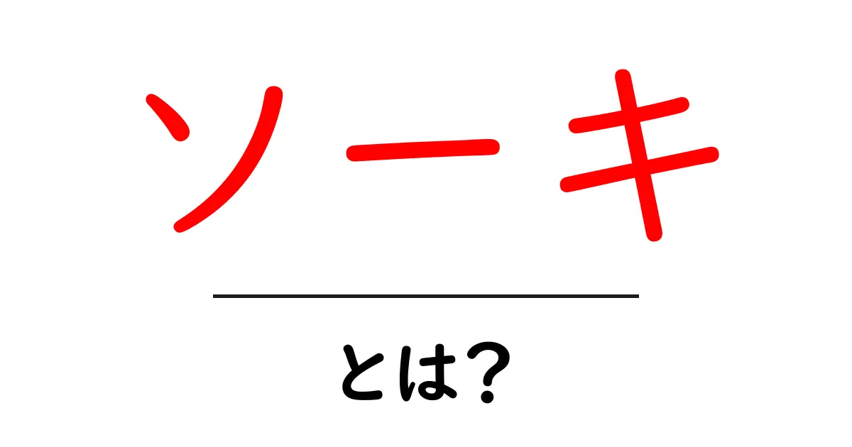 ソーキ・とは？沖縄のソーキを知るための基本ガイド共起語・同意語・対義語も併せて解説！