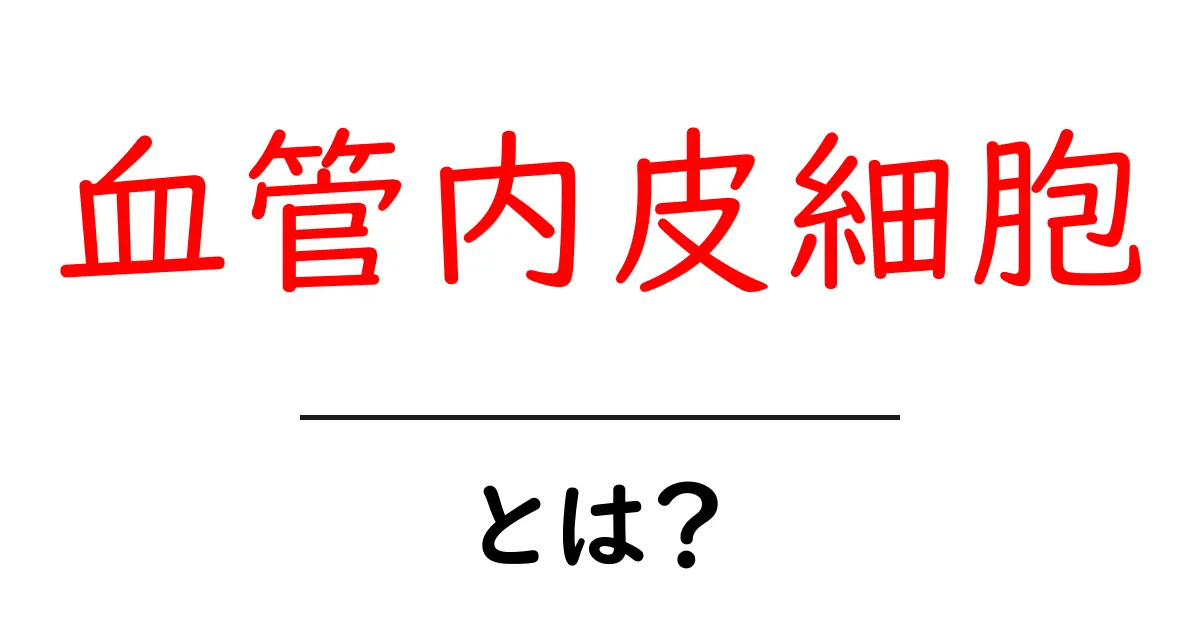 血管内皮細胞とは？血管の内側を守る重要な細胞の基礎共起語・同意語・対義語も併せて解説！