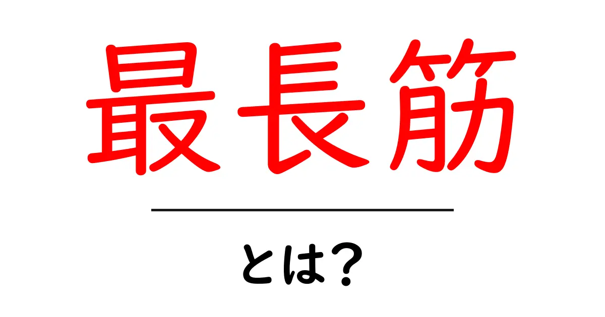 最長筋・とは?初心者向けにやさしく解説する背中の筋肉共起語・同意語・対義語も併せて解説!
