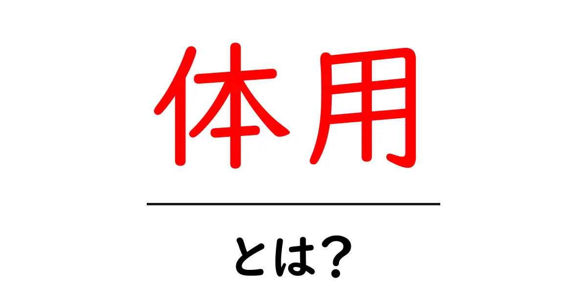 体用とは？初心者のための基本と使い方ガイド共起語・同意語・対義語も併せて解説！