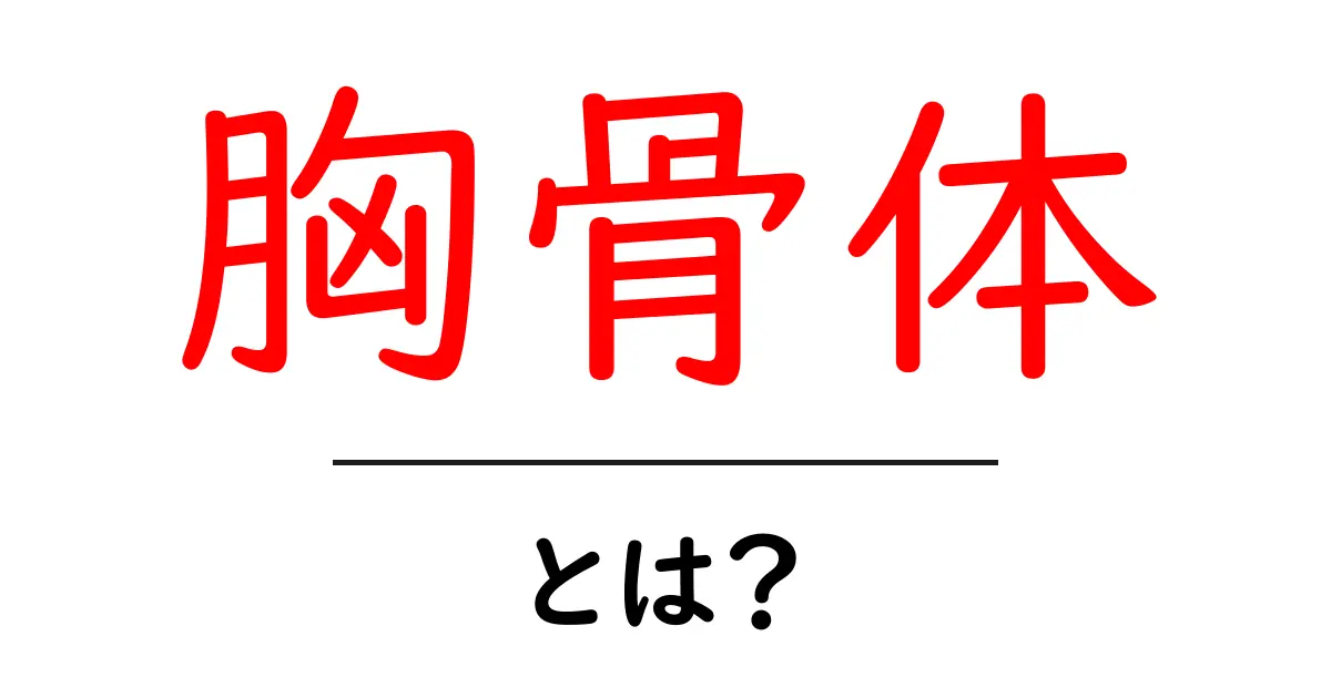 胸骨体・とは?中学生にもわかる解剖の基本をやさしく解説共起語・同意語・対義語も併せて解説!