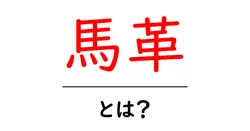 馬革・とは?初心者にもわかる特徴と使い道共起語・同意語・対義語も併せて解説!