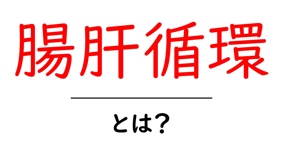 腸肝循環・とは?初心者にもわかる解説共起語・同意語・対義語も併せて解説!
