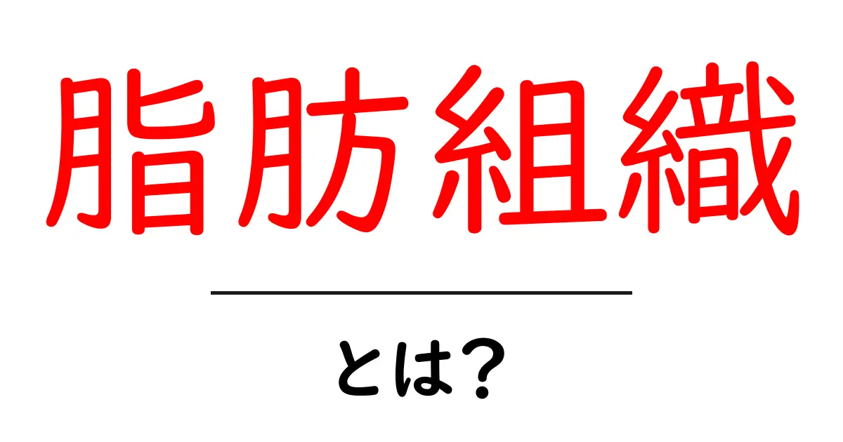 脂肪組織・とは？体の仕組みと役割をやさしく解説共起語・同意語・対義語も併せて解説！