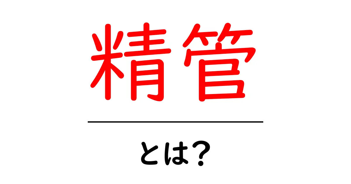 精管とは？初心者にも分かるしくみと役割をやさしく解説共起語・同意語・対義語も併せて解説！
