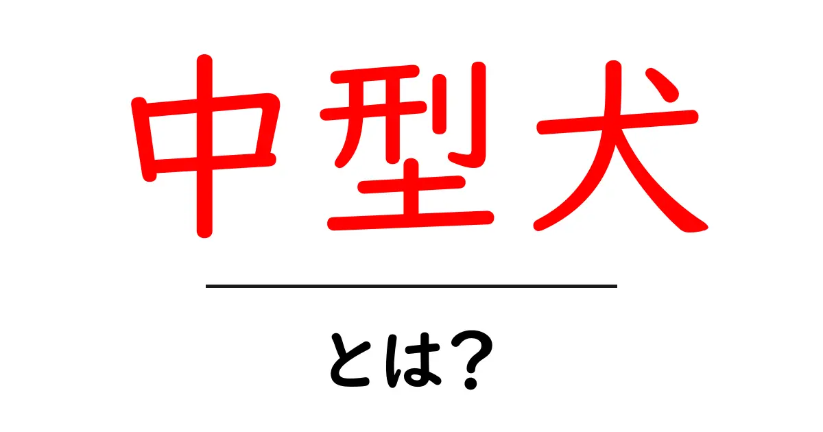 中型犬・とは?初心者向けに解説する基本ガイドと選び方共起語・同意語・対義語も併せて解説!