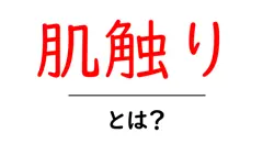 肌触り・とは？初心者にもわかる基礎ガイドで理解を深めよう共起語・同意語・対義語も併せて解説！