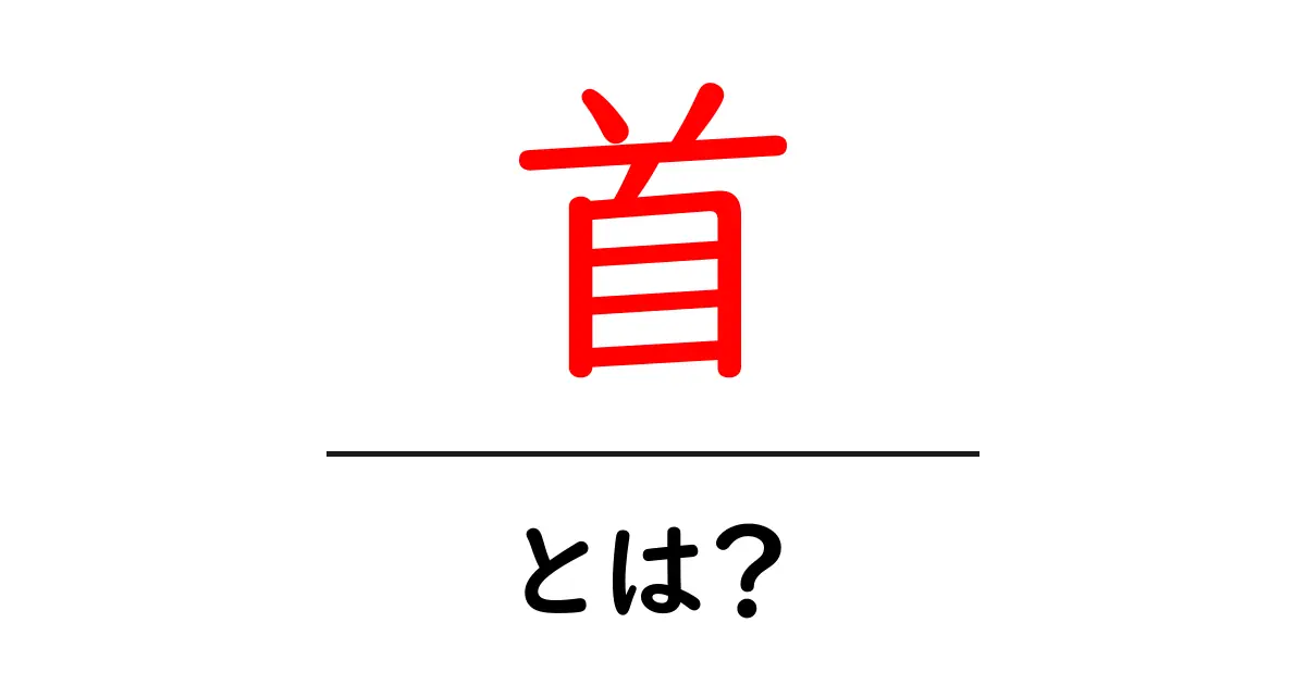 首・とは?初心者にも分かる基本ガイド:首の仕組みと役割をやさしく解説共起語・同意語・対義語も併せて解説!