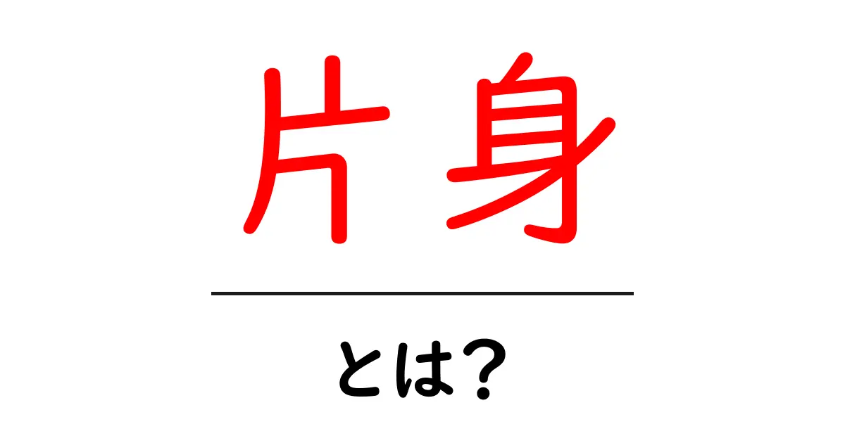 片身・とは？初心者にも分かる意味と使い方ガイド共起語・同意語・対義語も併せて解説！