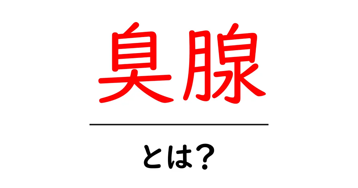 臭腺とは？初心者でも分かる基本と身近な事例共起語・同意語・対義語も併せて解説！
