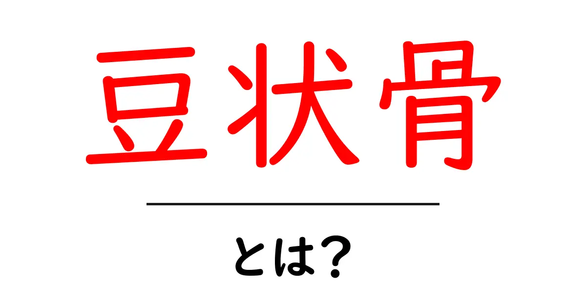 豆状骨・とは？をわかりやすく解説！初心者にも役立つ基礎ガイド共起語・同意語・対義語も併せて解説！