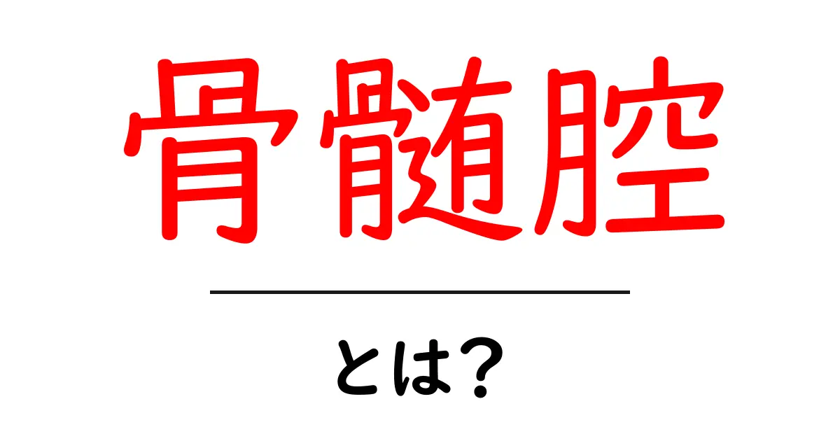 骨髄腔・とは?初心者にも分かる基本ガイド共起語・同意語・対義語も併せて解説!
