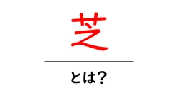 芝・とは？初心者でも分かる芝生の基本と手入れガイド共起語・同意語・対義語も併せて解説！