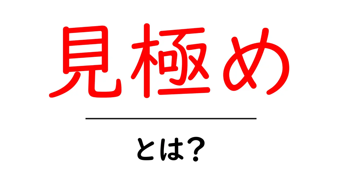 見極め・とは？初心者にもわかる判断力の基本とコツ共起語・同意語・対義語も併せて解説！