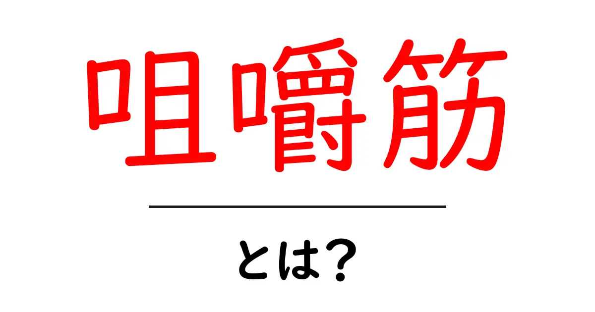 咀嚼筋とは？噛む仕組みをやさしく解説｜初心者向けガイド共起語・同意語・対義語も併せて解説！