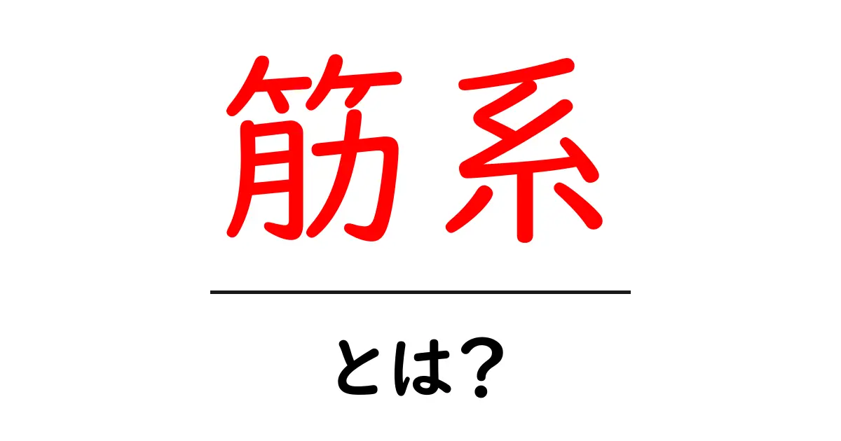 筋系とは？初心者が押さえる基本と活用のコツ共起語・同意語・対義語も併せて解説！