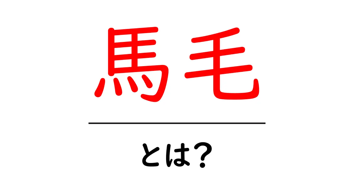 馬毛・とは?初心者が知っておく基本ガイド共起語・同意語・対義語も併せて解説!