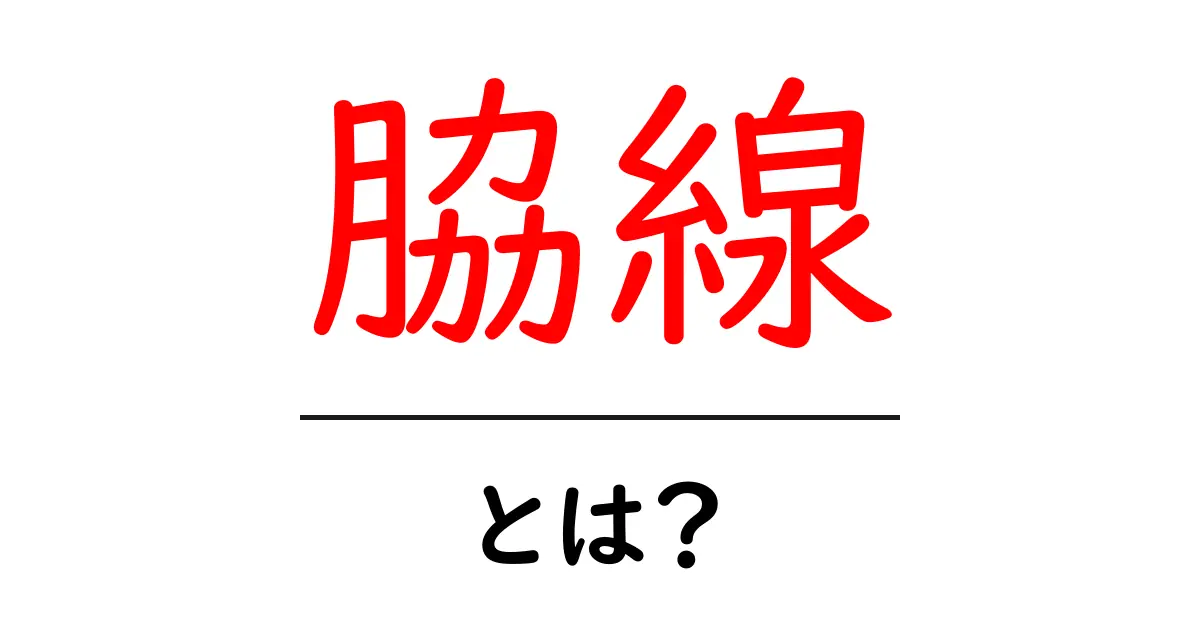 脇線・とは？初心者向けガイドで意味と使い方を徹底解説共起語・同意語・対義語も併せて解説！