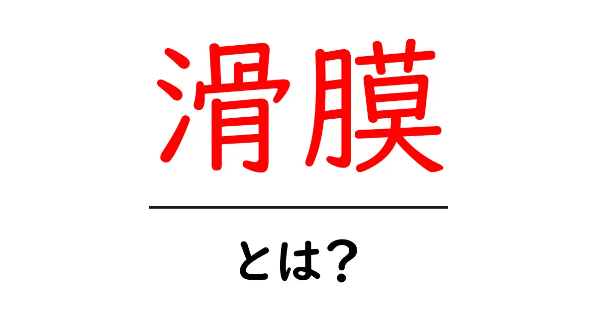 滑膜とは？初心者向けにやさしく解説共起語・同意語・対義語も併せて解説！