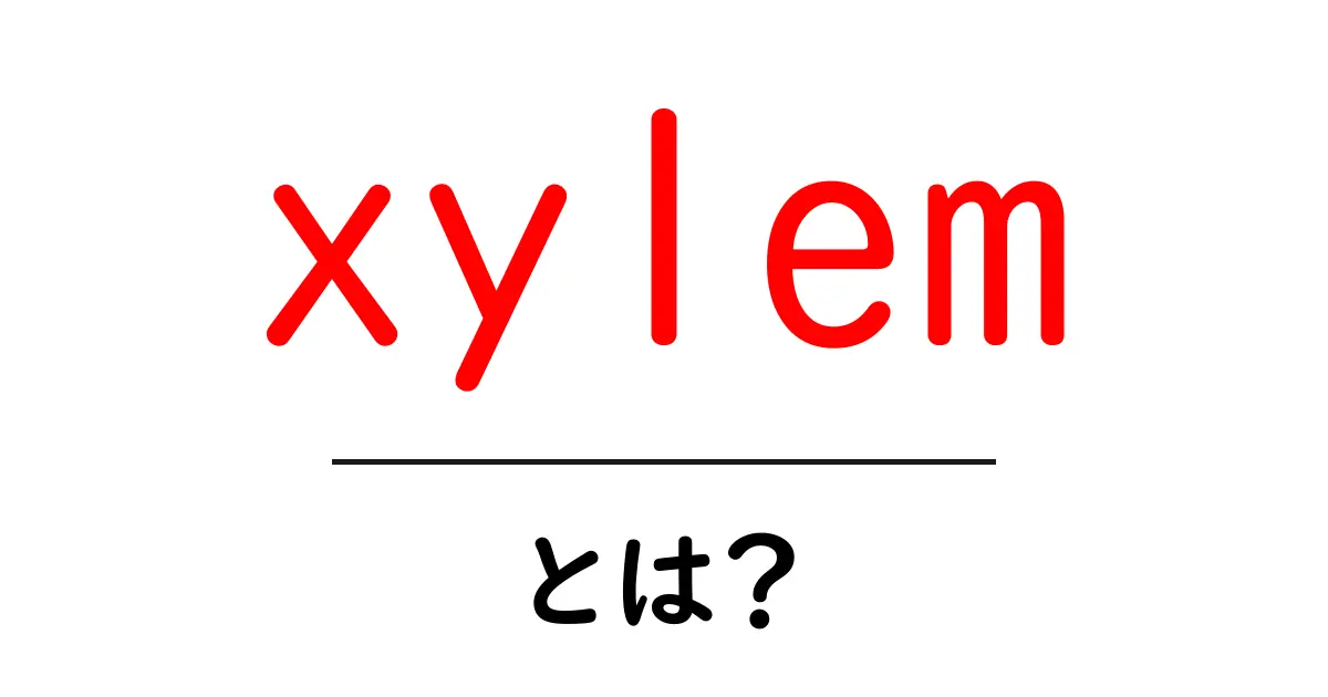 xylemとは？植物の水を運ぶ秘密を初心者にも分かりやすく解説共起語・同意語・対義語も併せて解説！