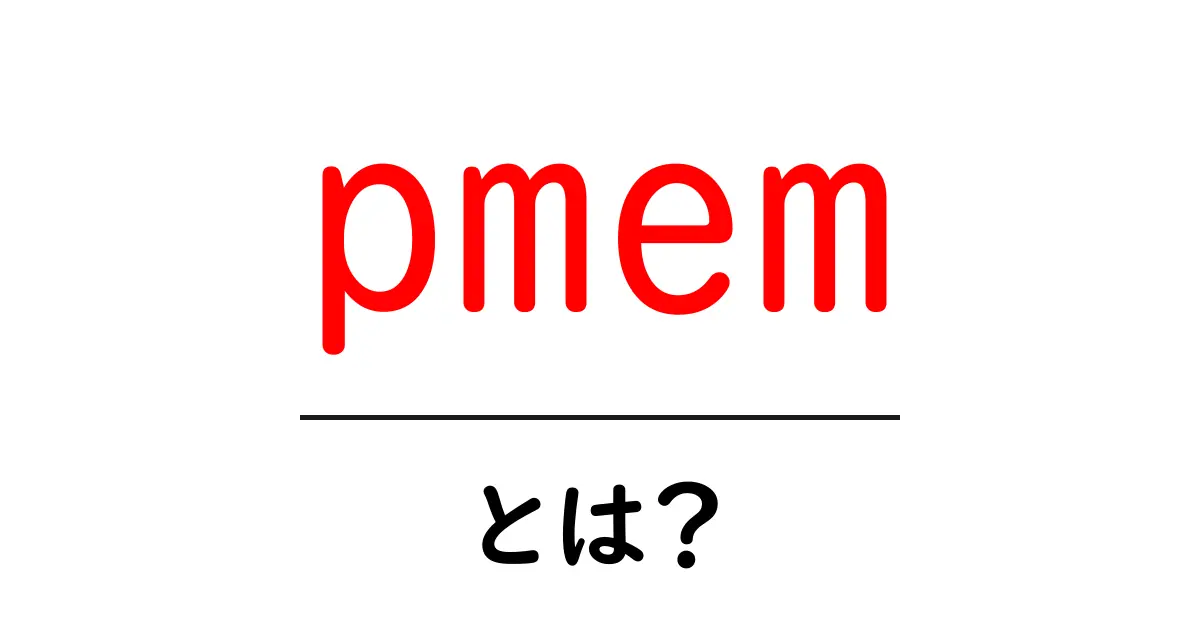 pmem・とは？初心者が知るべき基本と使い方ガイド共起語・同意語・対義語も併せて解説！