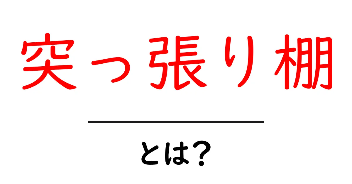 突っ張り棚・とは?初心者が使い方と設置のコツを徹底解説共起語・同意語・対義語も併せて解説!