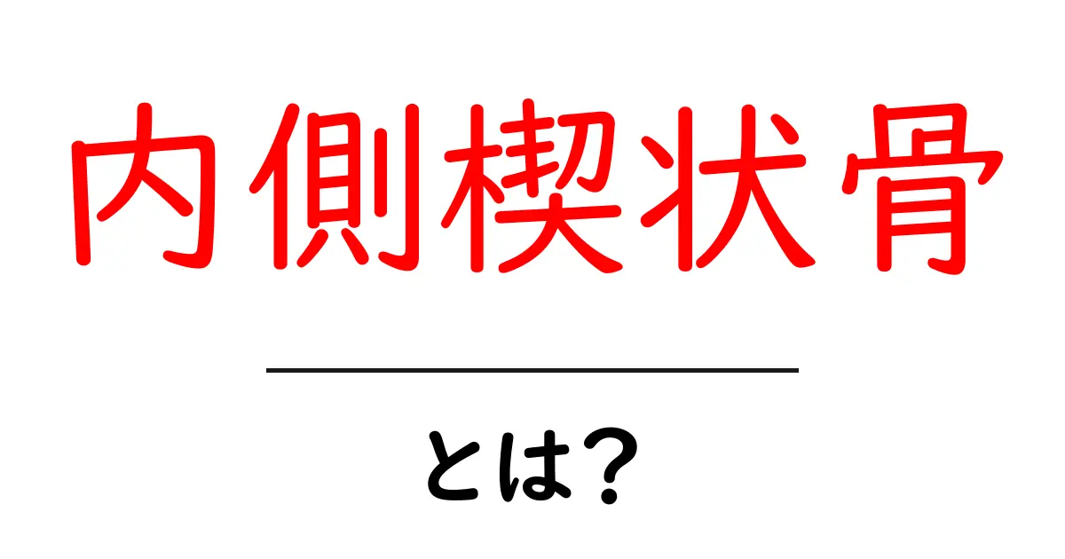内側楔状骨・とは?足の中部を支える重要な骨をやさしく解説共起語・同意語・対義語も併せて解説!