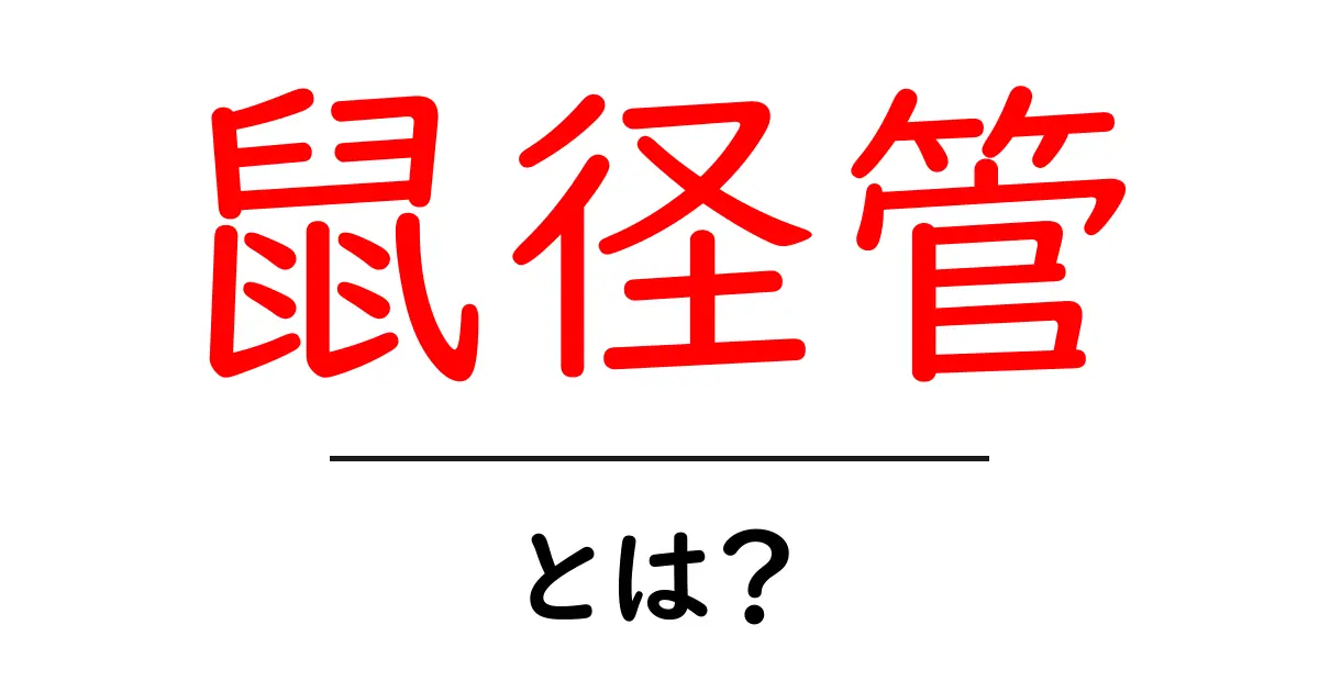 鼠径管とは？初心者にも分かる体のしくみと役割をやさしく解説共起語・同意語・対義語も併せて解説！