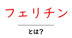 フェリチン・とは？鉄の貯蔵タンパク質をやさしく解説共起語・同意語・対義語も併せて解説！