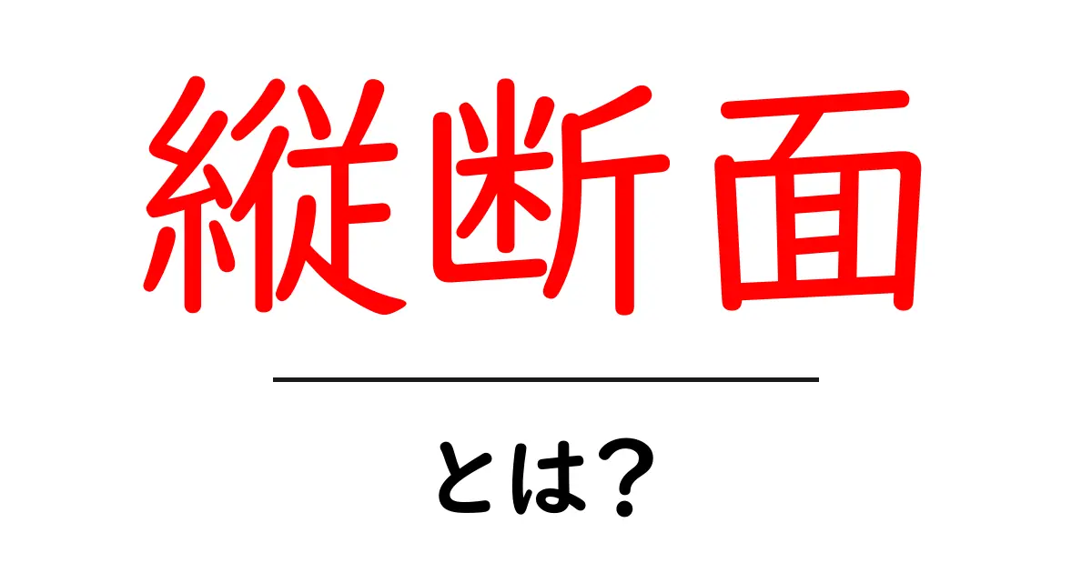 縦断面・とは？初心者にもわかる基本ガイド共起語・同意語・対義語も併せて解説！